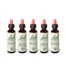 Esencia Floral  Individual 10ml. (Gotas)